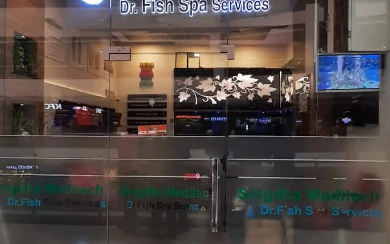 Fish Spa at PVP Square